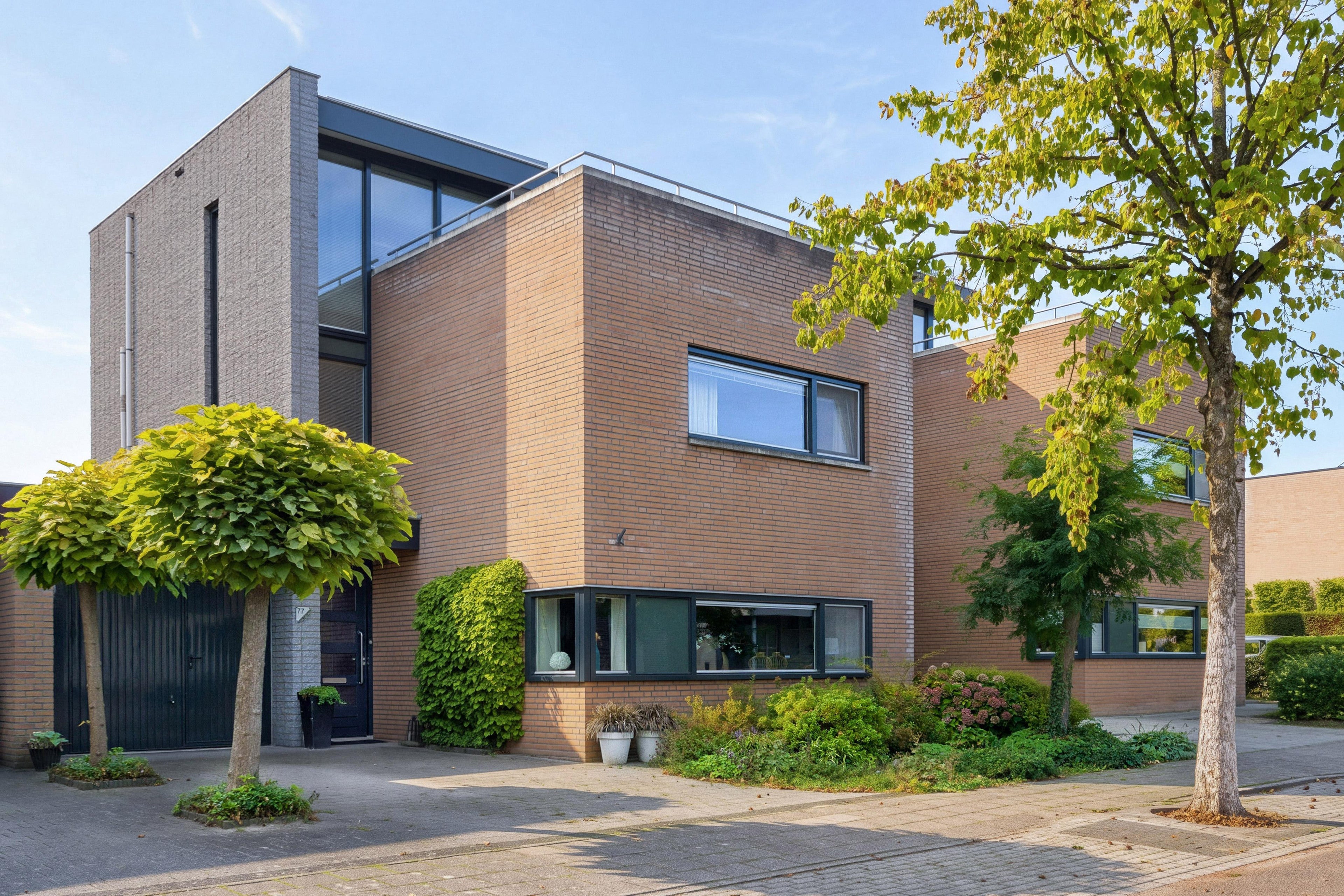 Huis Aronskelk 77 in Elsloo