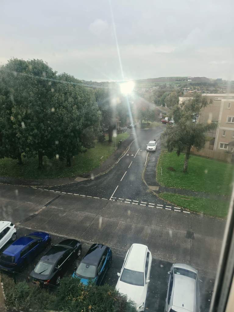 Flat Morven Park in Dundonald