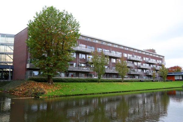 Hofplein