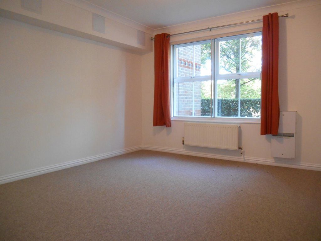 Flat Swan Close in Three Rivers