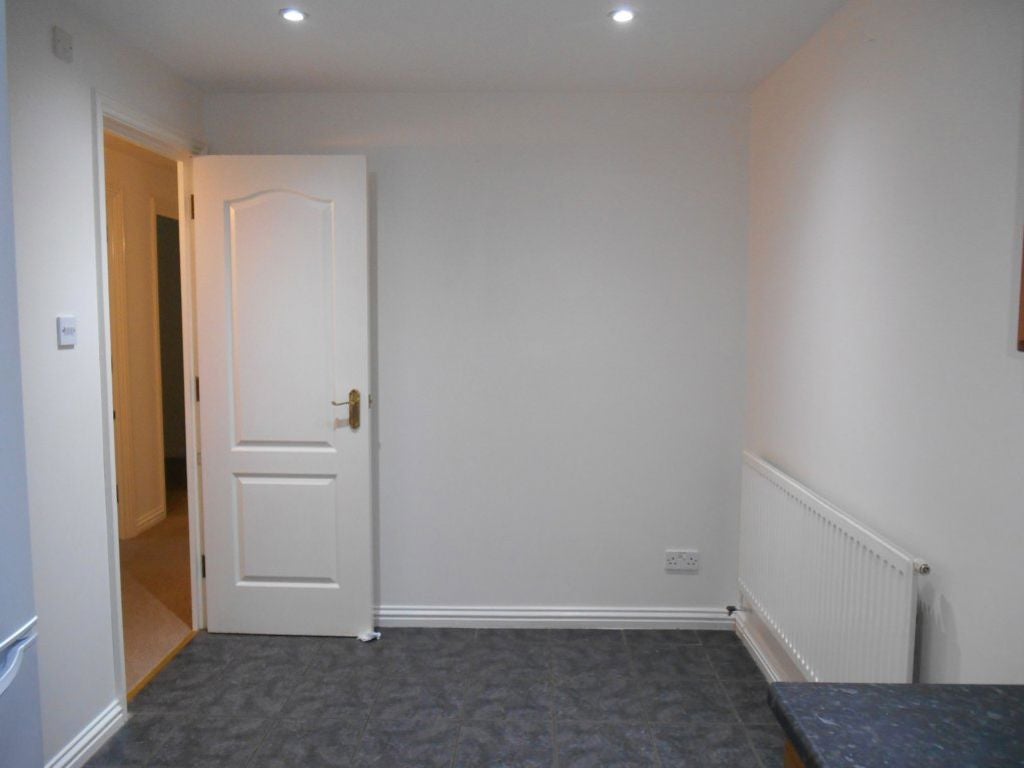 Flat Swan Close in Three Rivers