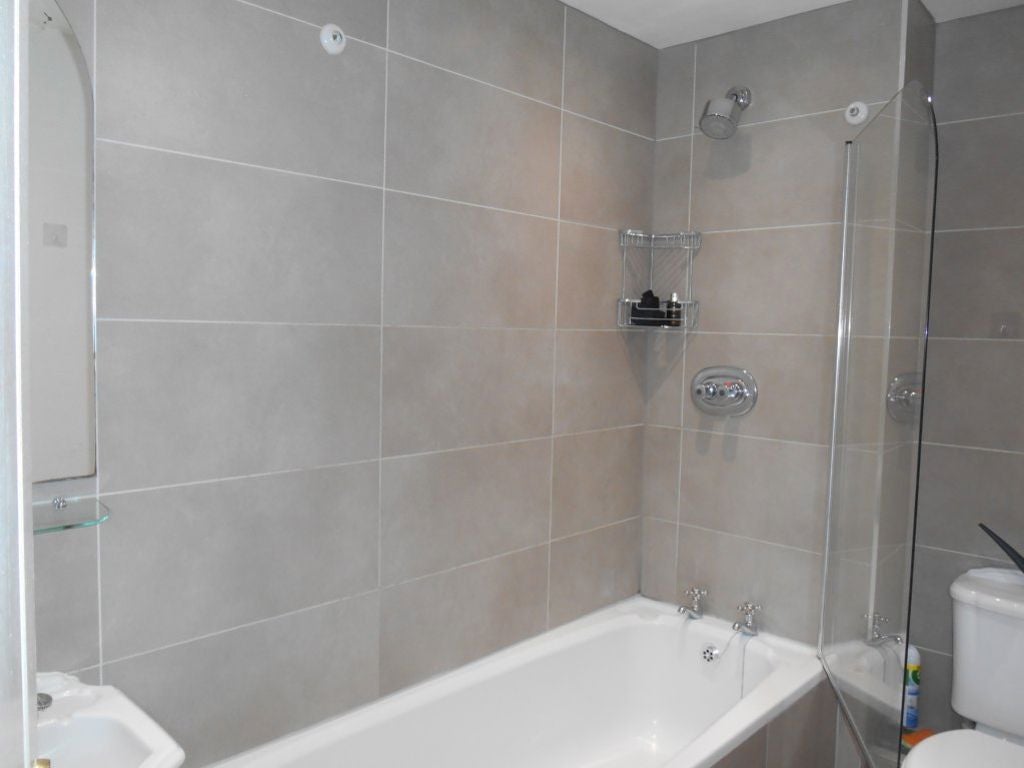 Flat Swan Close in Three Rivers