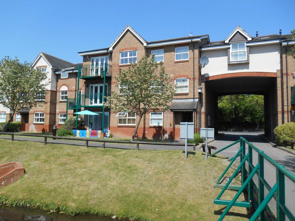 Flat Swan Close in Three Rivers