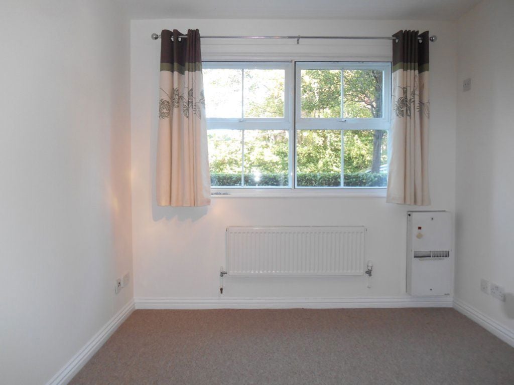 Flat Swan Close in Three Rivers