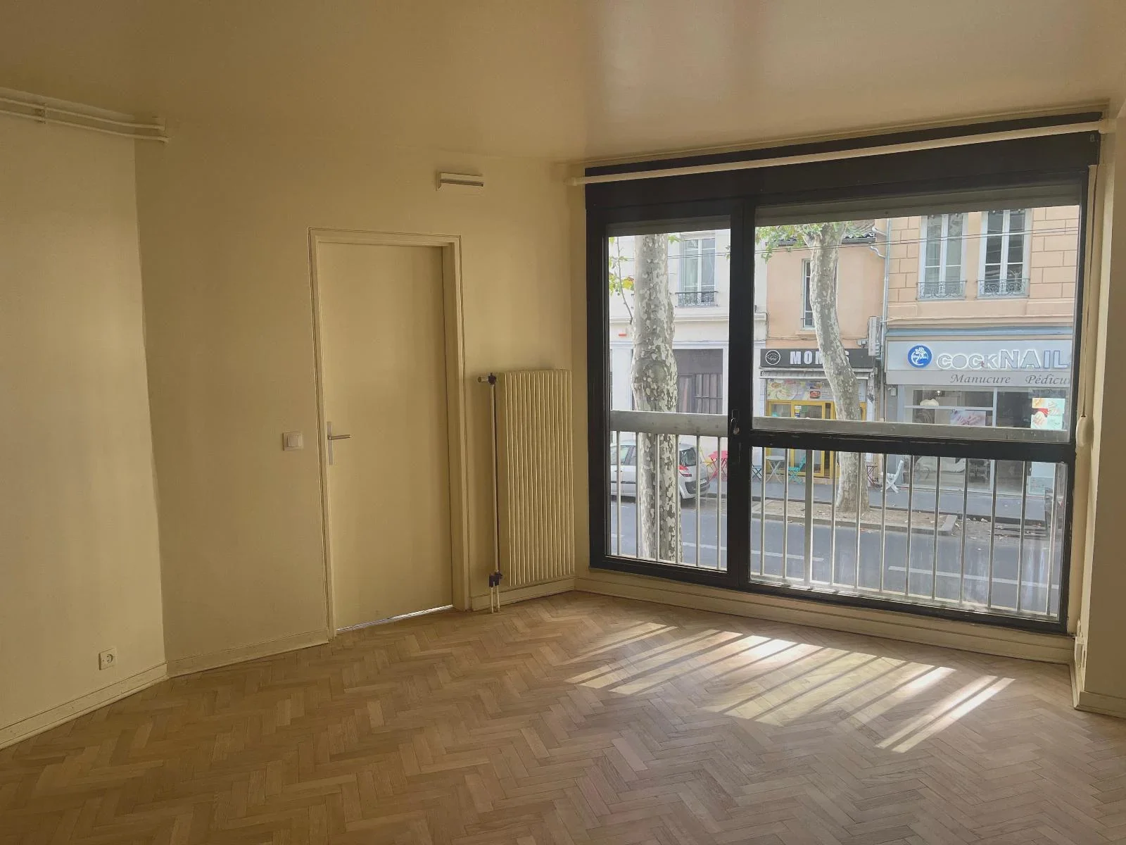 Appartement Avenue Félix Faure à Lyon