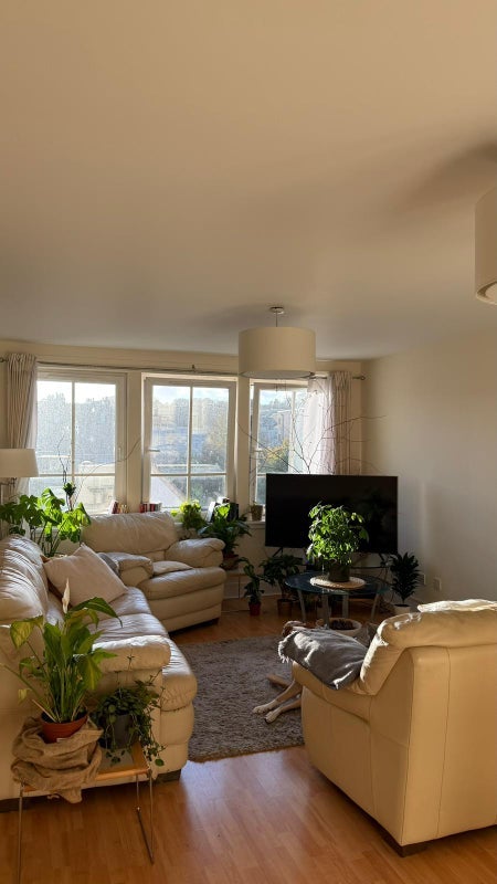 Room Hopetoun Street in City of Edinburgh