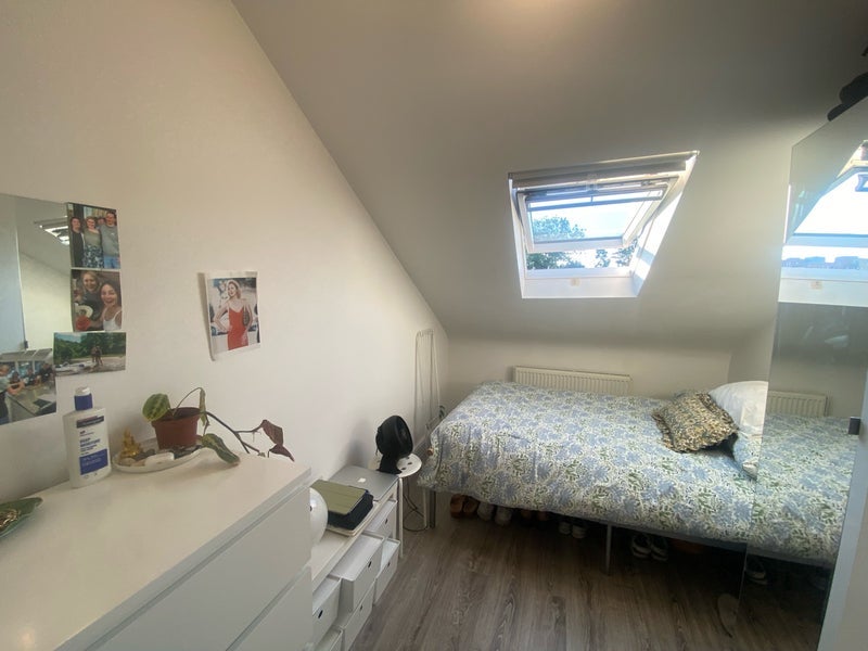 Room Turnpike Lane in Greater London