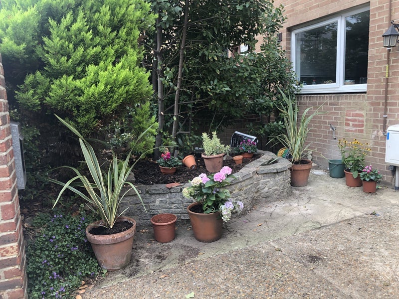 Room Sceptre Road in Greater London