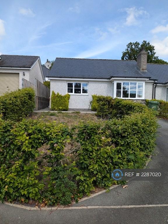 House Maes Treflyn in Bala