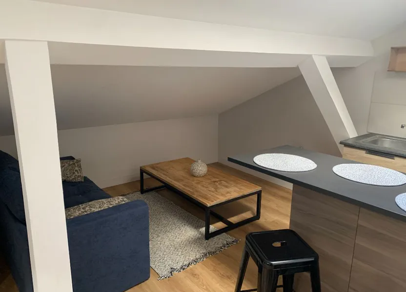 Appartement Rue Roux-Soignat à Lyon