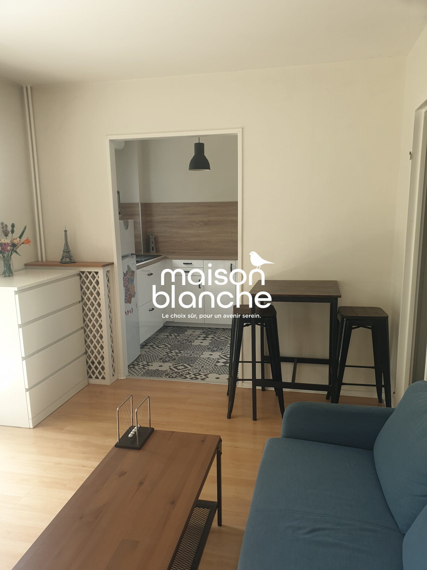 Appartement Rue du Docteur Bergonié à Tours