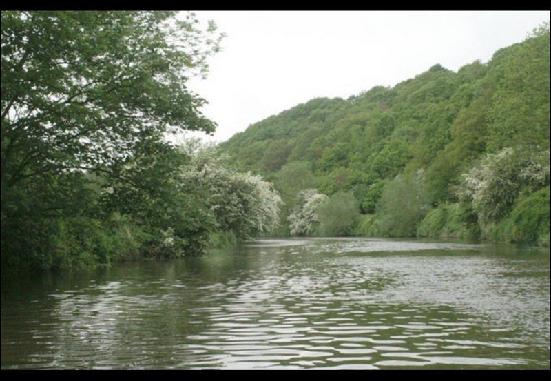 Room Butlers Walk in Bristol