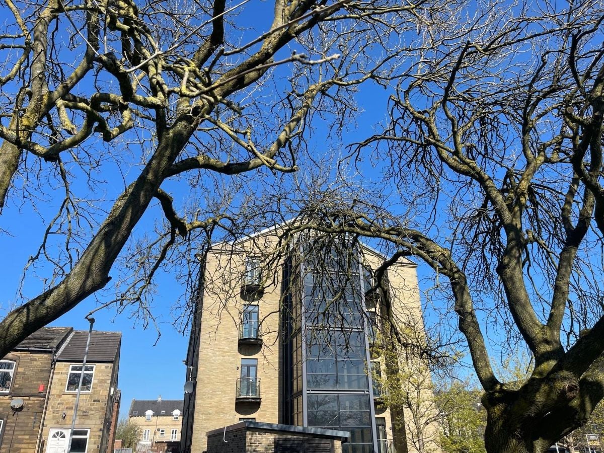 Flat Cavendish Approach in Leeds