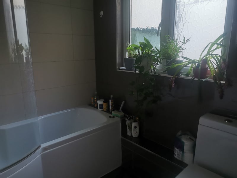 Room Sternhall Lane in Greater London