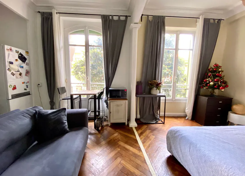Flat Avenue Bellevue in Nice