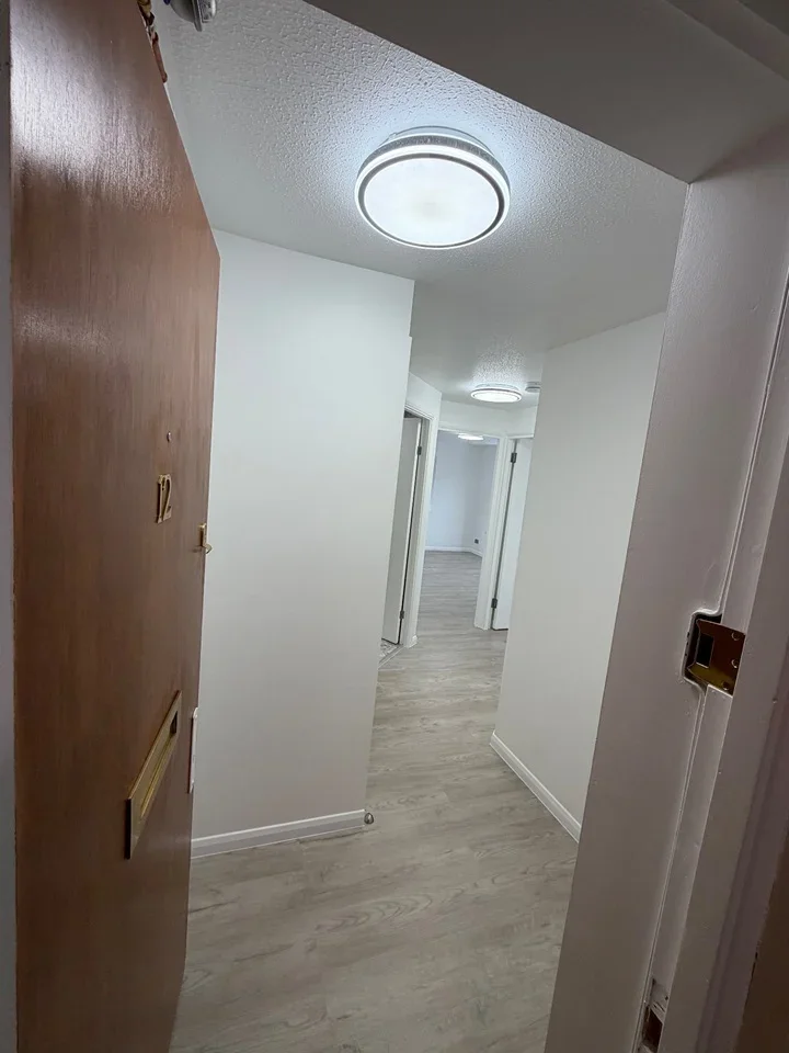 Flat Marlins Close in Greater London