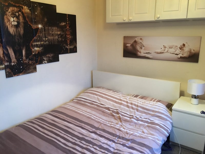 Room Bainbridge Road in Charnwood