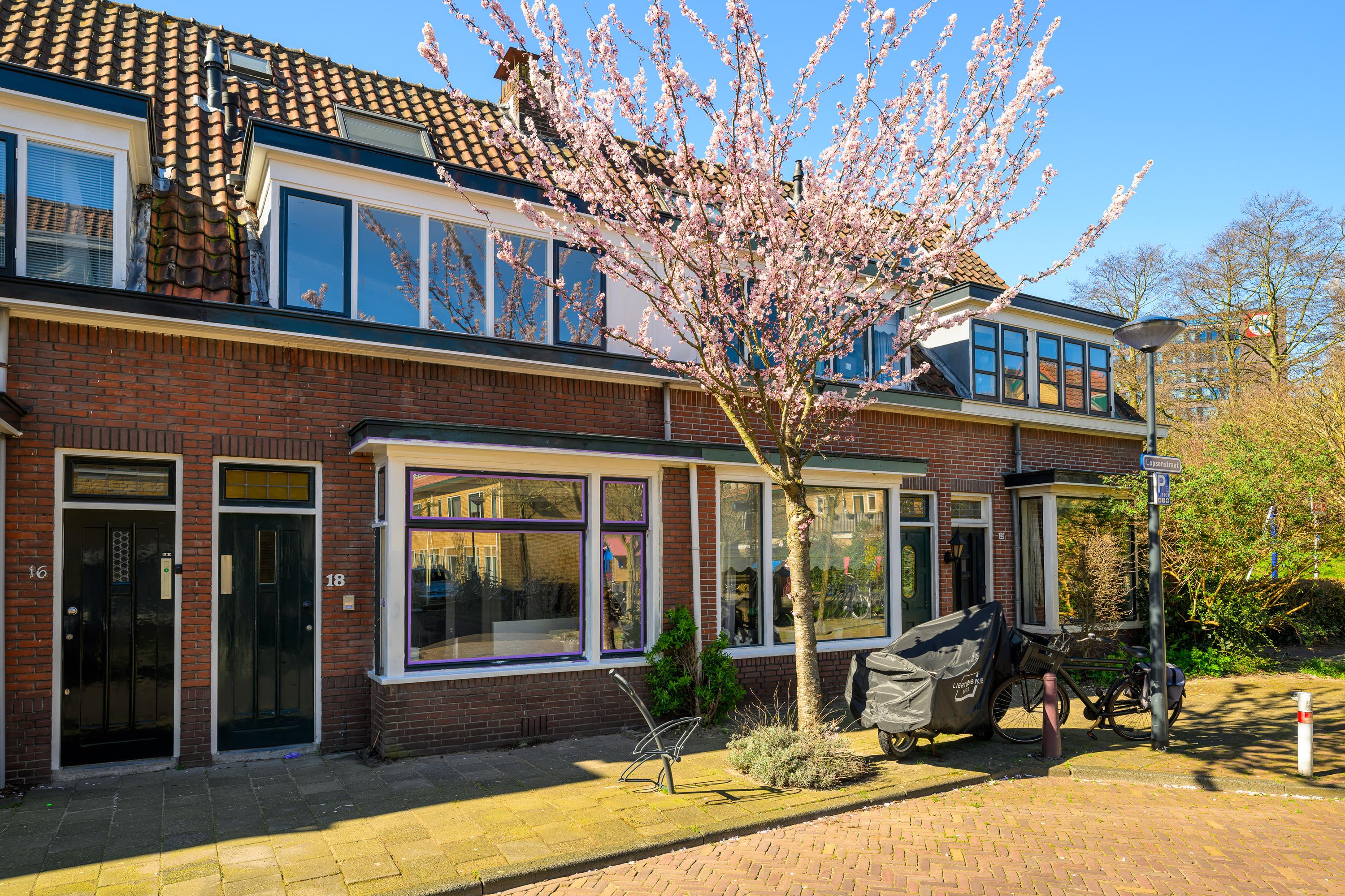 Lopsenstraat