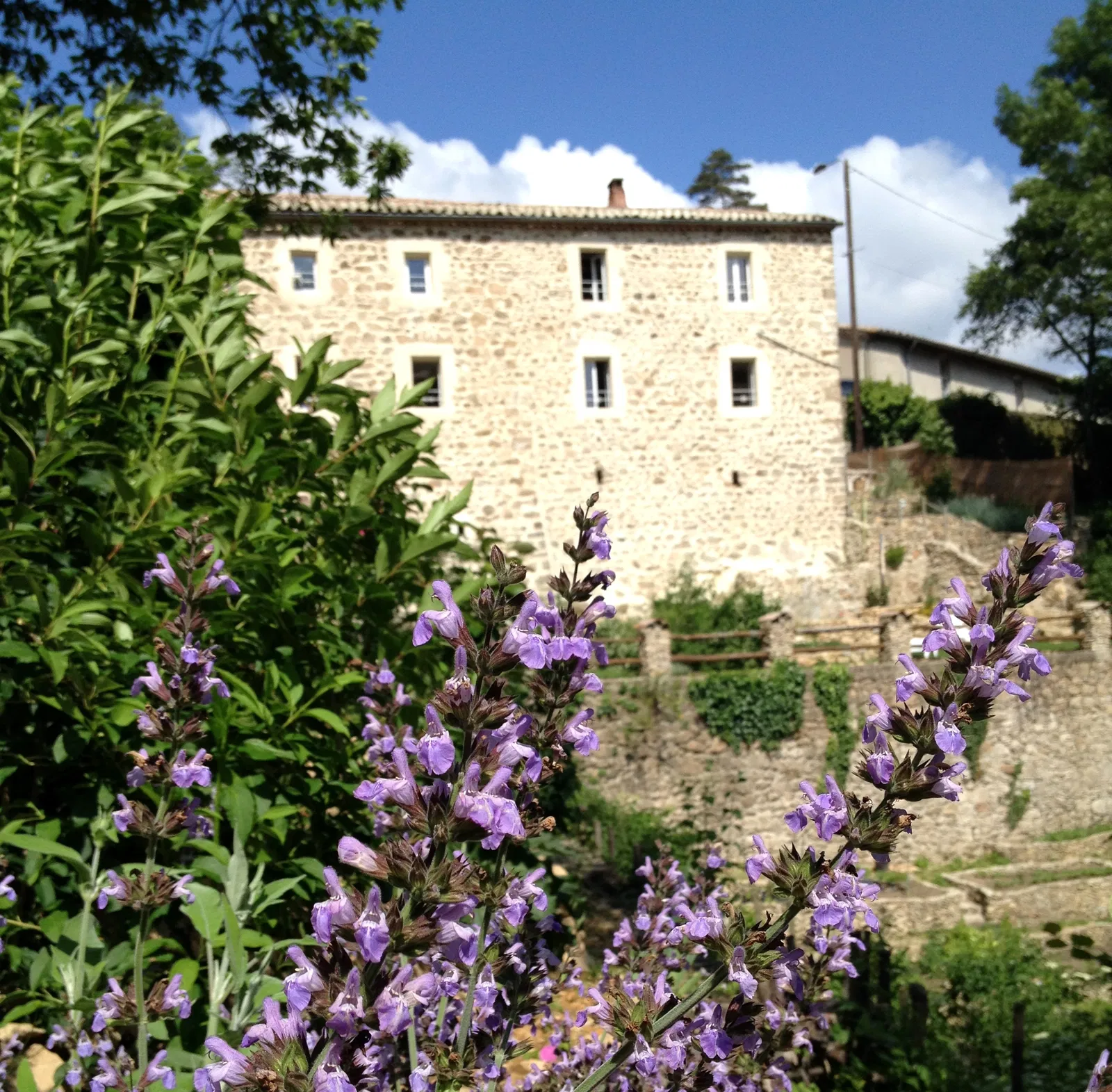 Maison D 244 à Saint-Julien-du-Gua