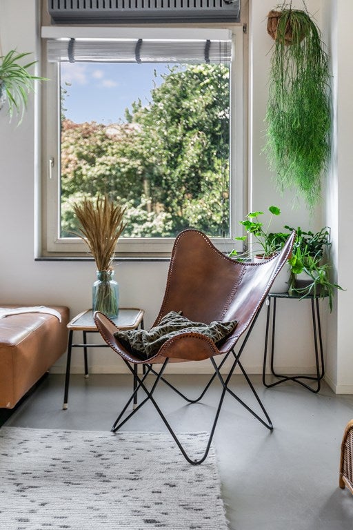Appartement Hofmeyrstraat 7