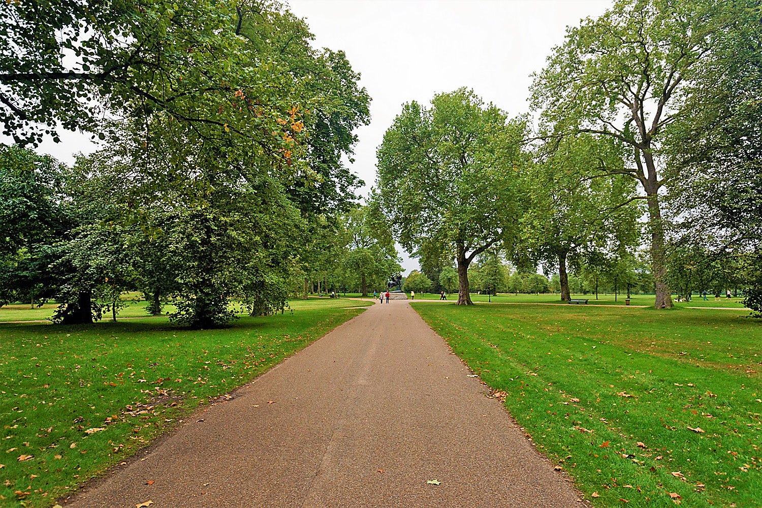 Room Cheniston Gardens in Greater London