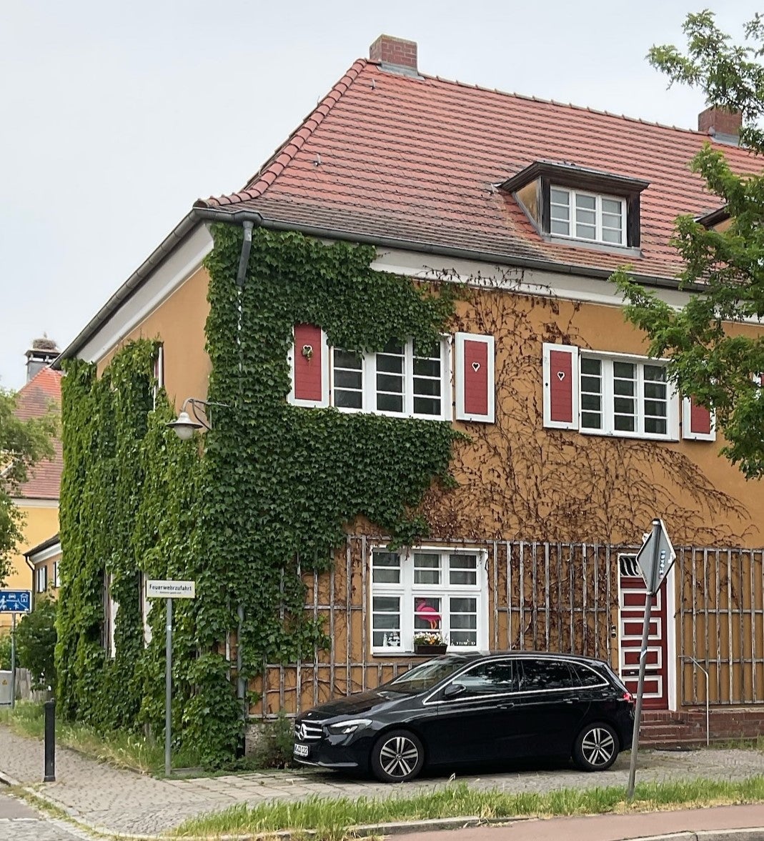 Wohnung Dessauer Straße in Wittenberg