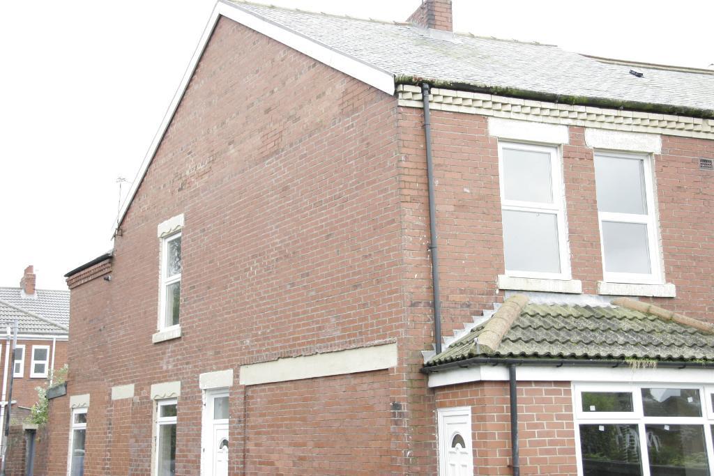 Flat Delaval Street in Newsham