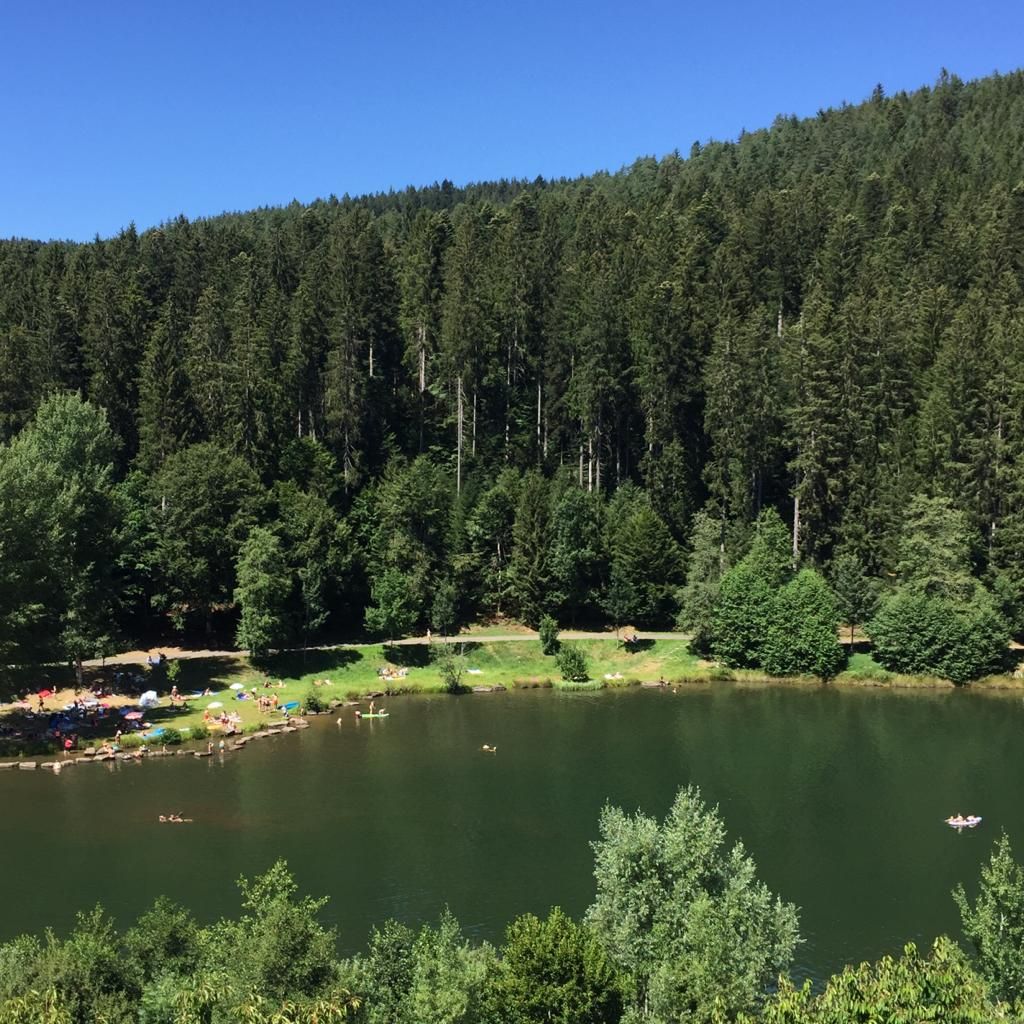 Wohnung Panoramastraße in Erzgrube