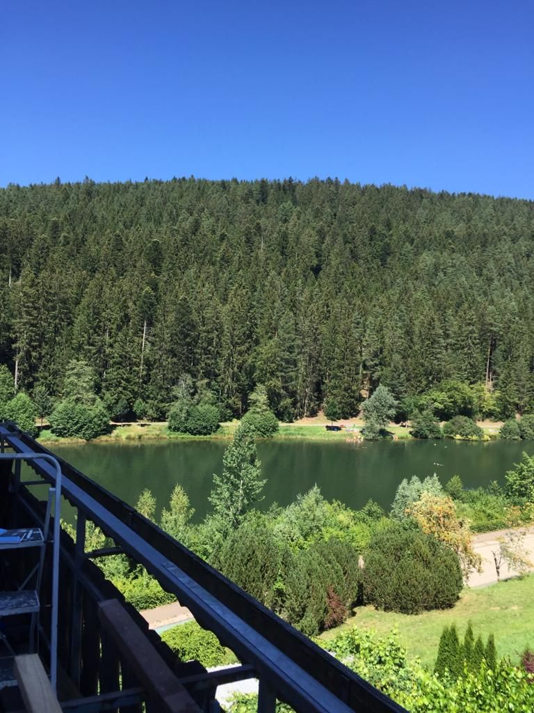 Wohnung Panoramastraße in Erzgrube