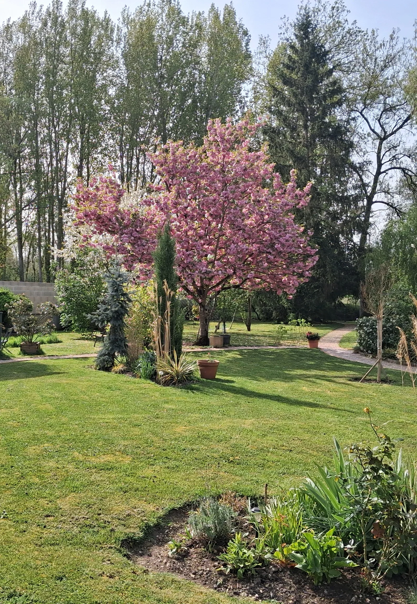 Chambre Avenue de Lattre de Tassigny à Bourges