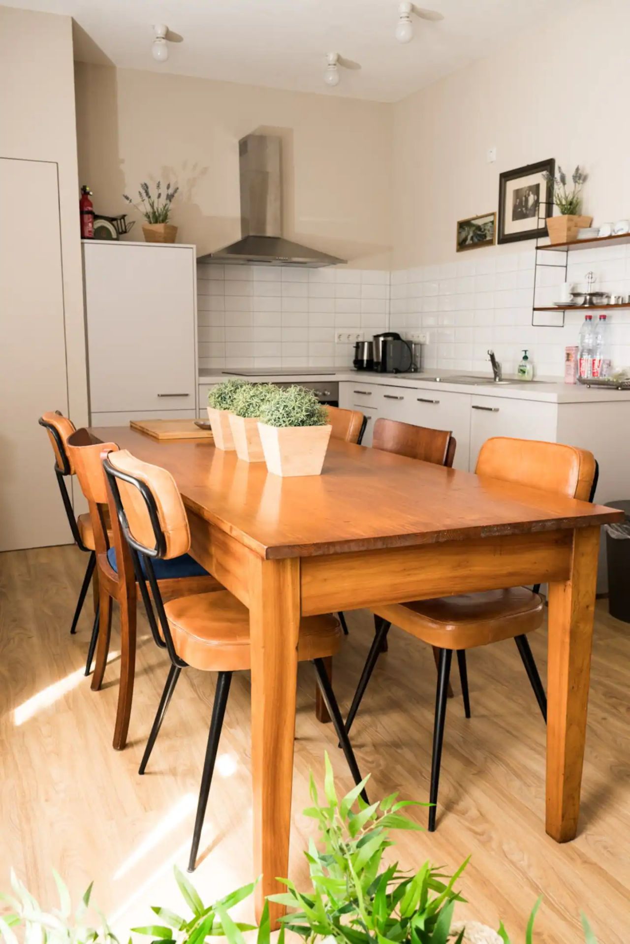Wohnung Rohrlachstraße in Ludwigshafen am Rhein
