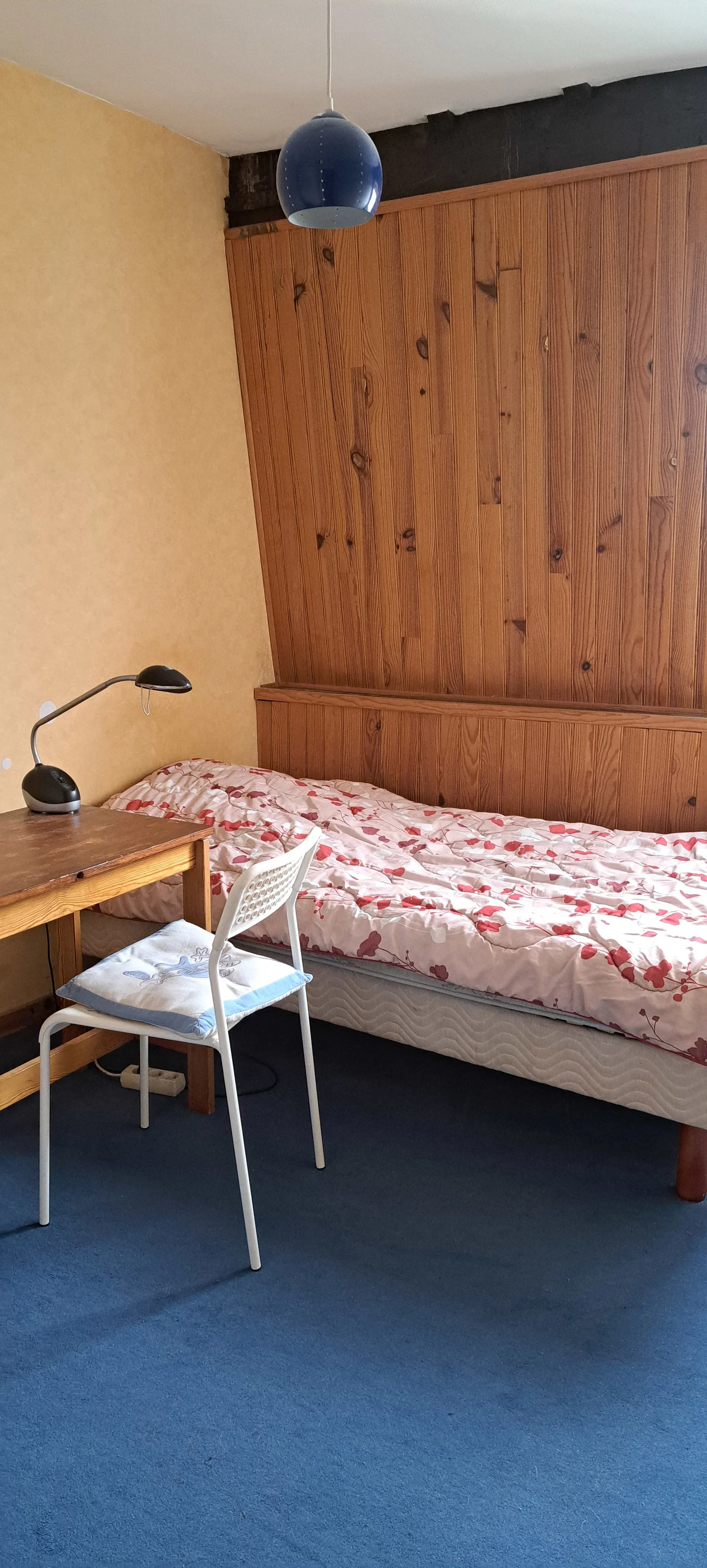 Room Rue du Colonel Jean Colonna d'Ornano in Loos