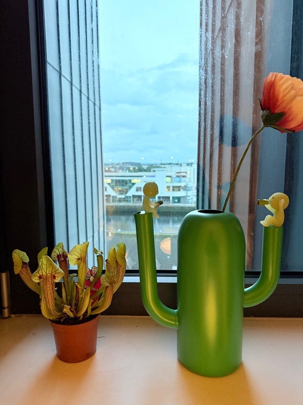 Room Lancefield Quay in Glasgow