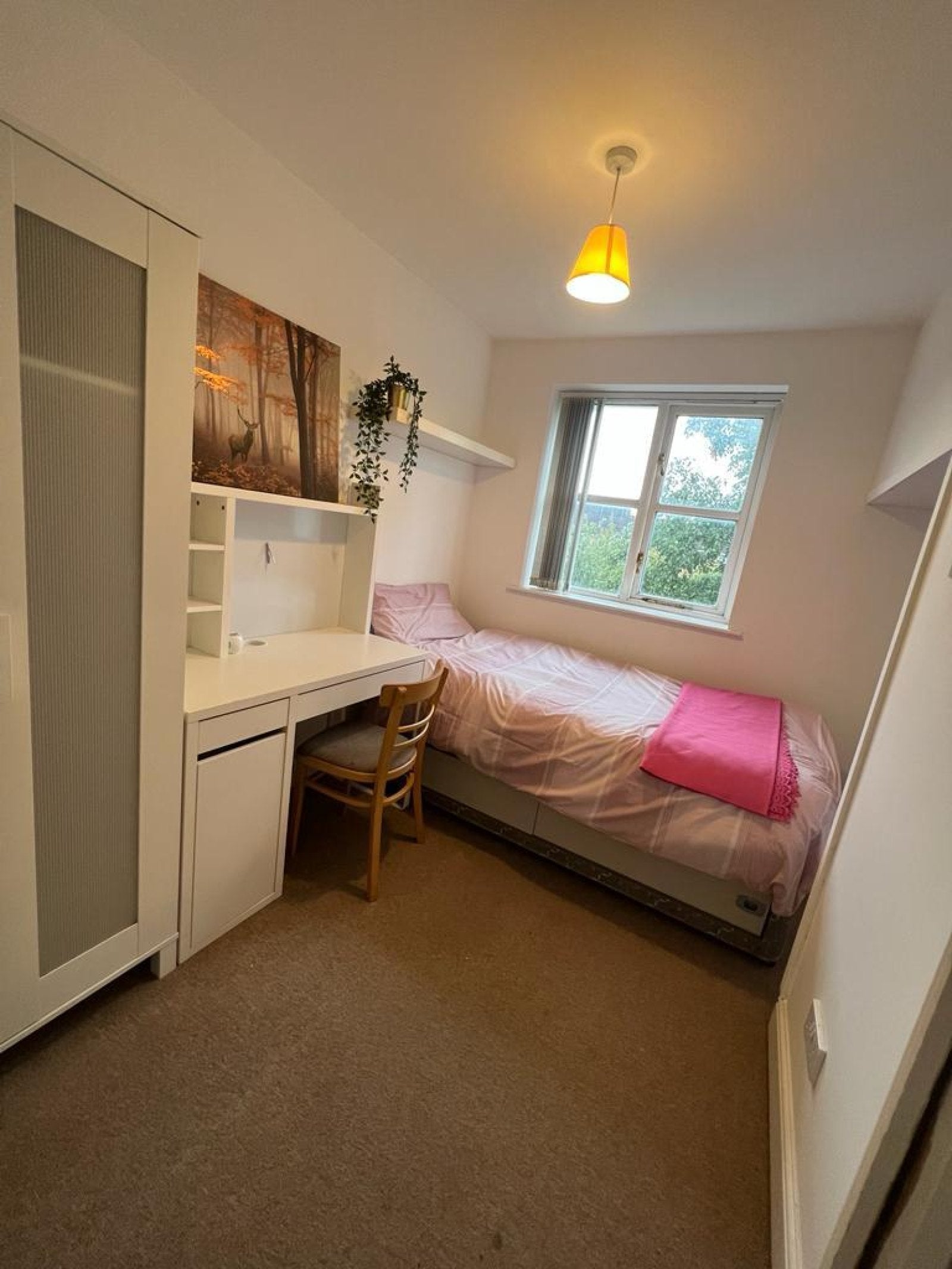 Room Willow Way in Rushmoor