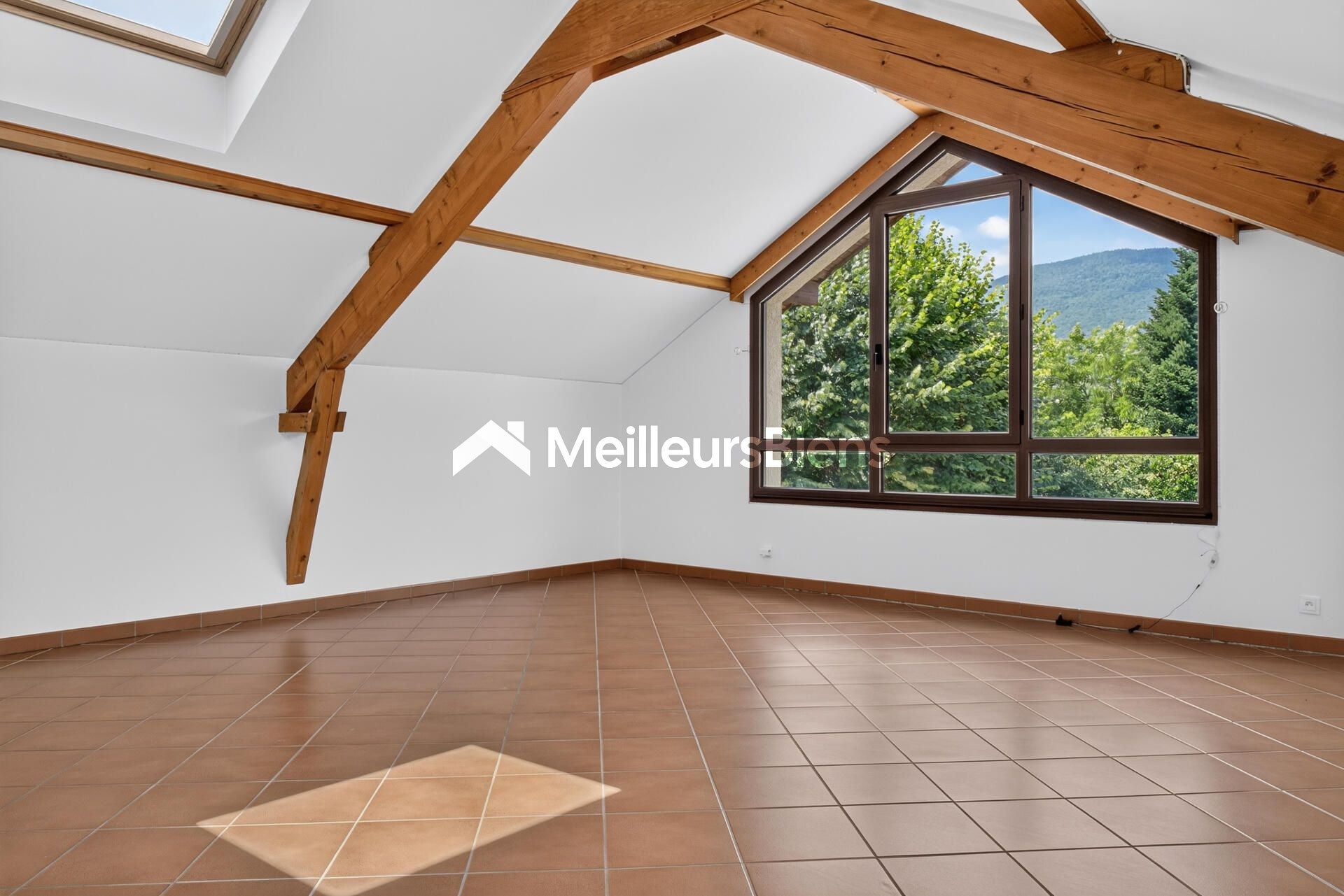 Maison Grande Rue à Divonne-les-Bains