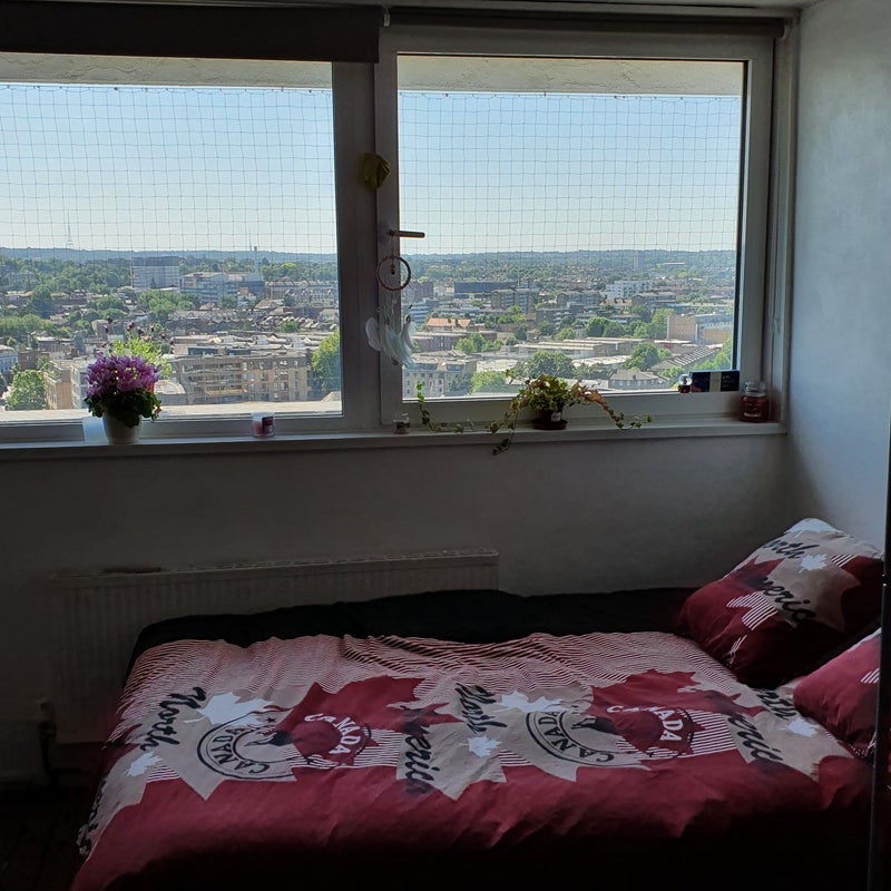 Room Wyndham Road in Greater London