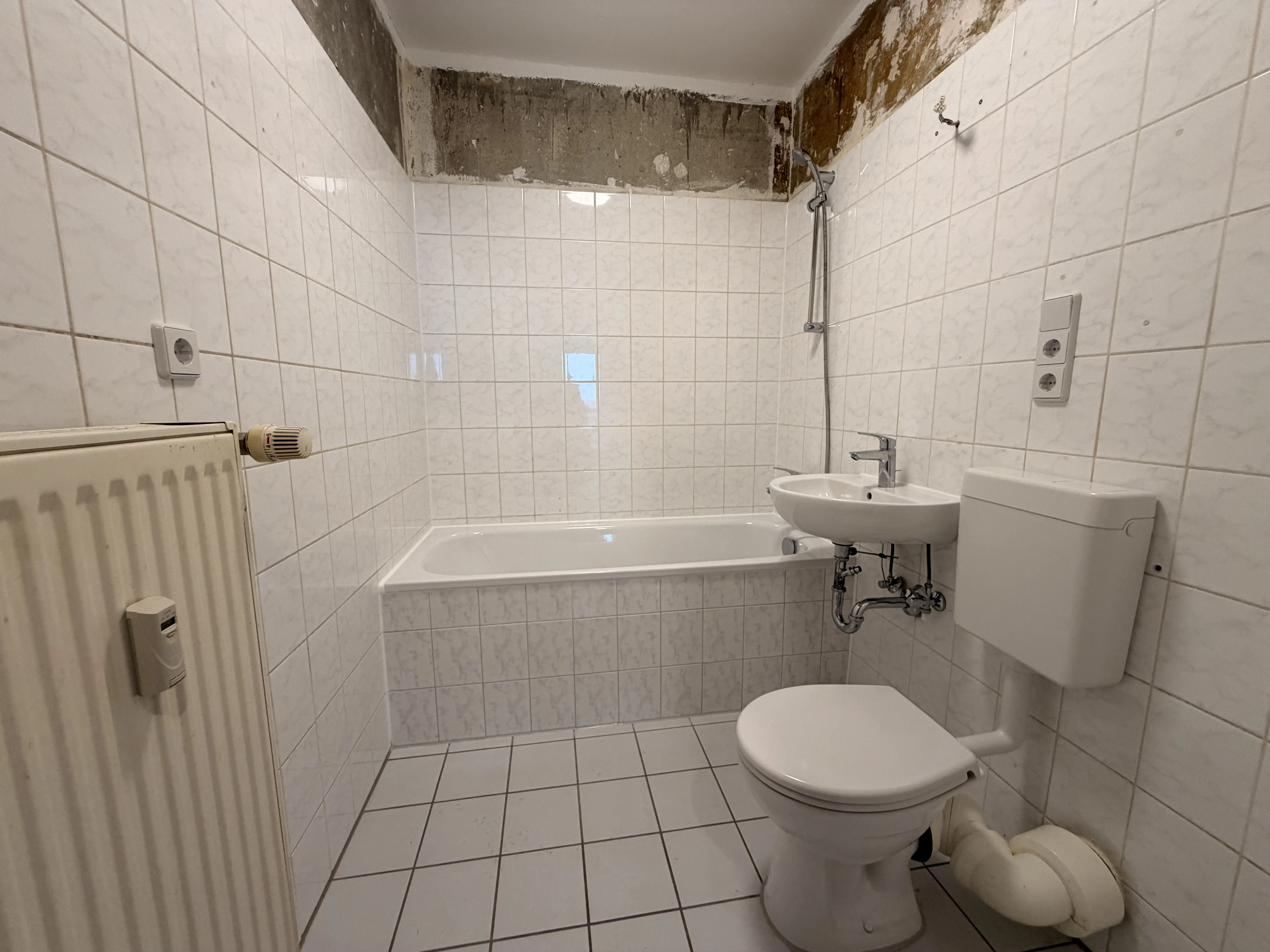 Wohnung Habersaathstraße in Berlin