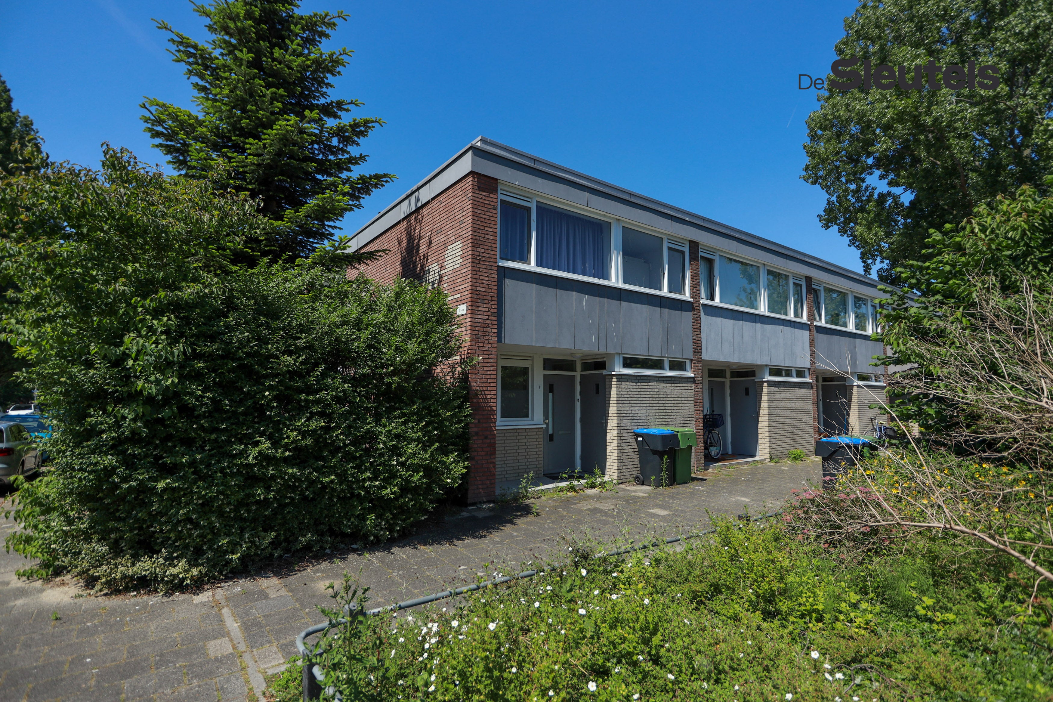 Toscaninilaan, Leiden