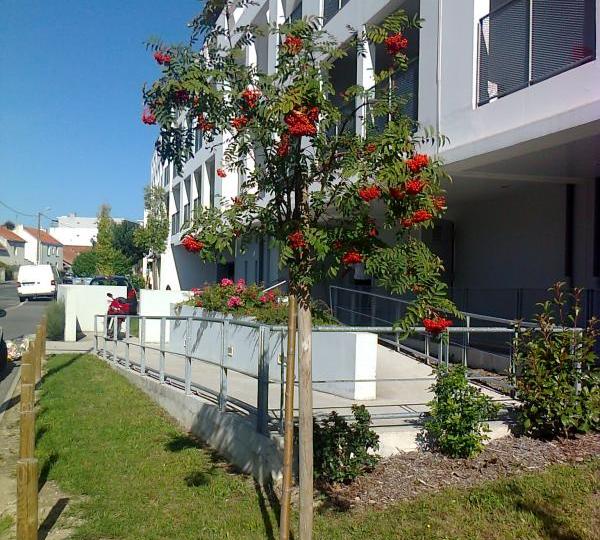 Appartement Rue Henri Radigois à Saint-Herblain
