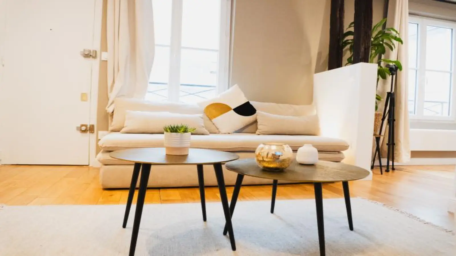 Appartement Rue Pierre Lescot à Paris