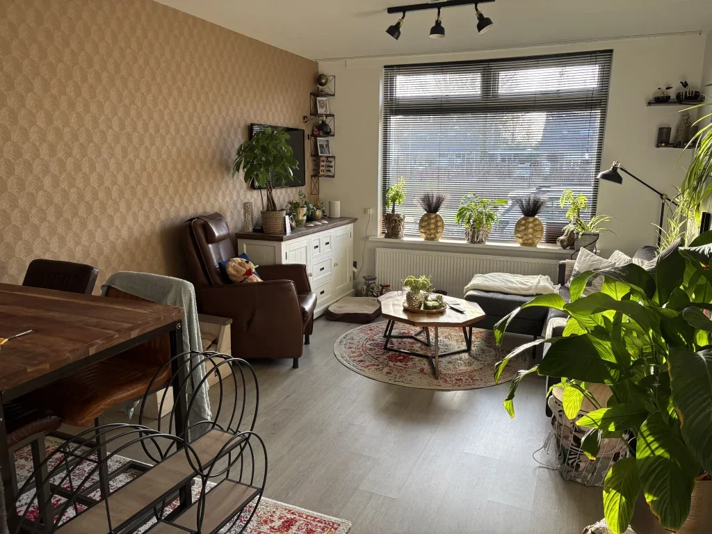 Flat Baron van Brienenstraat in Stad aan 't Haringvliet