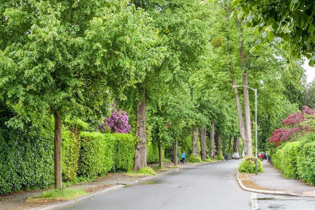 Flat Broadwater Down in Tunbridge Wells