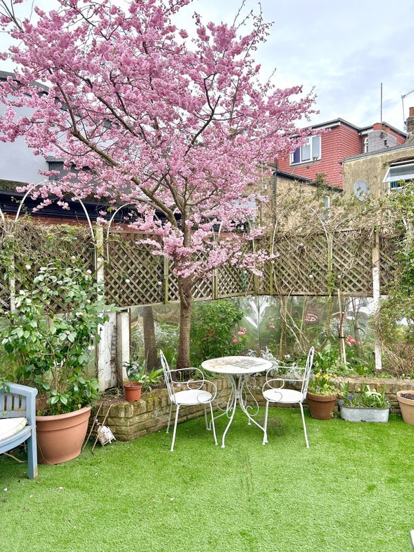 Room Windsor Road in Greater London