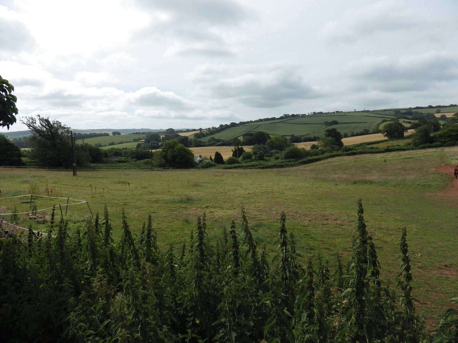 House Higher Rodhuish Road in Withycombe
