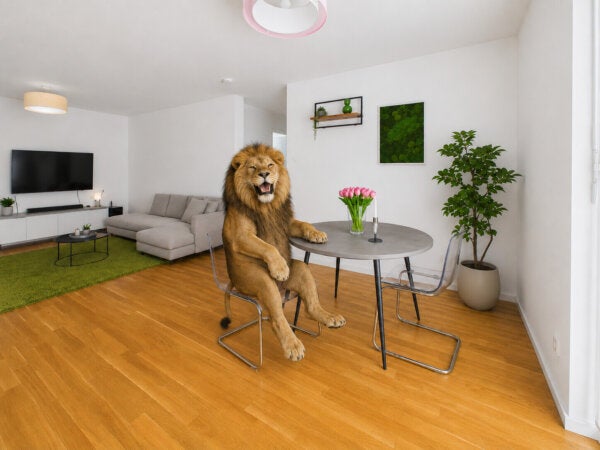 Wohnung Heidelberger Straße in Darmstadt