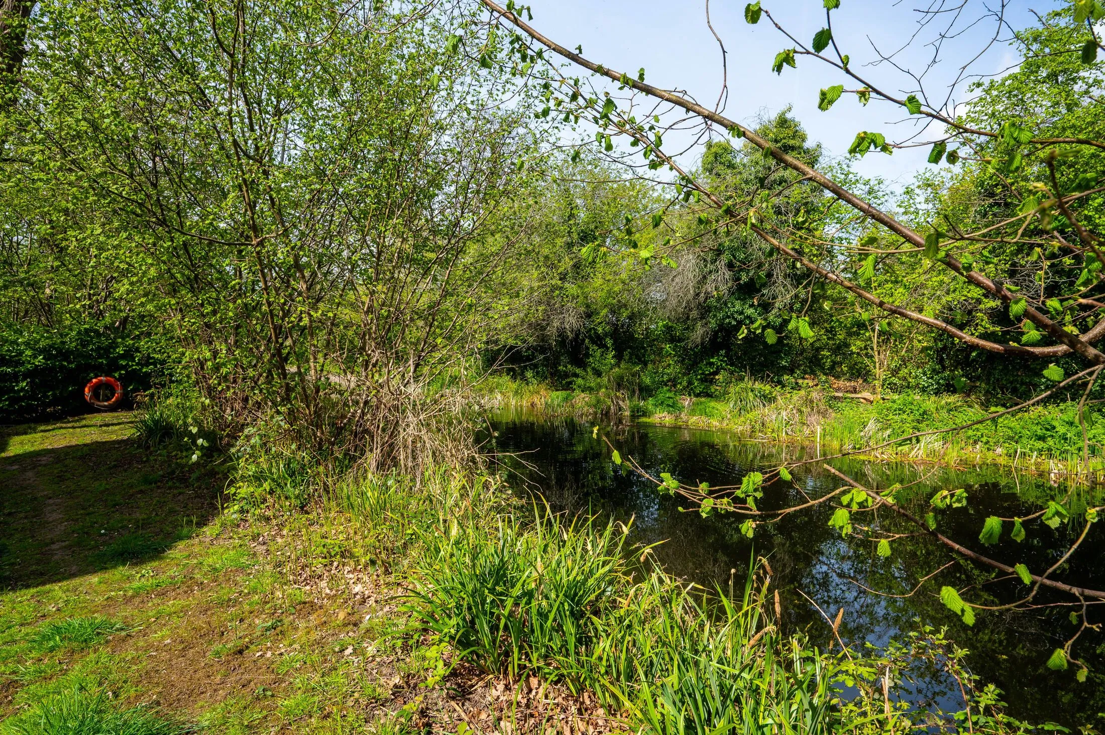 Flat Basingstoke Canal towpath in Woking