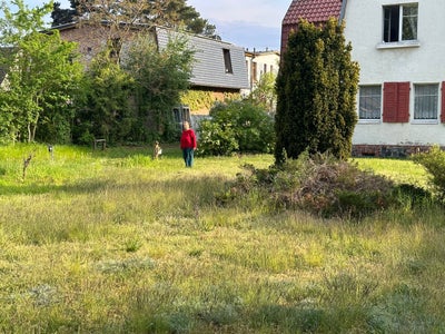 Wohnung Hardenbergstraße in Biesenthal