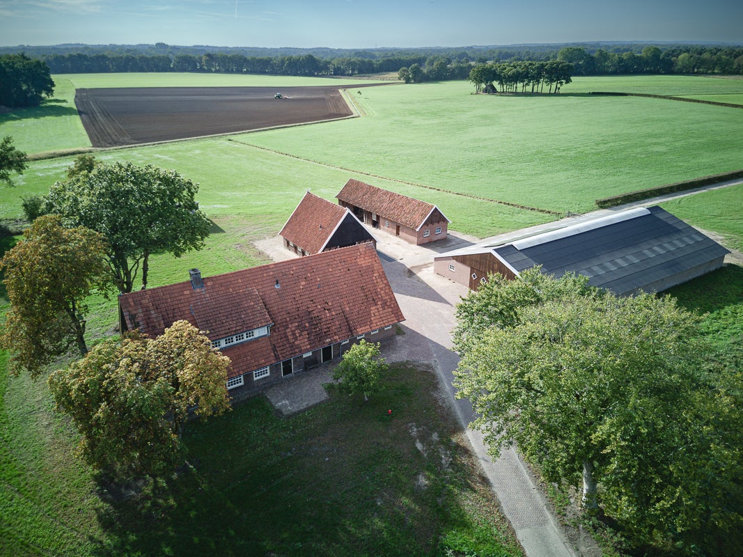 Huis Brandlichterweg 99 in Denekamp
