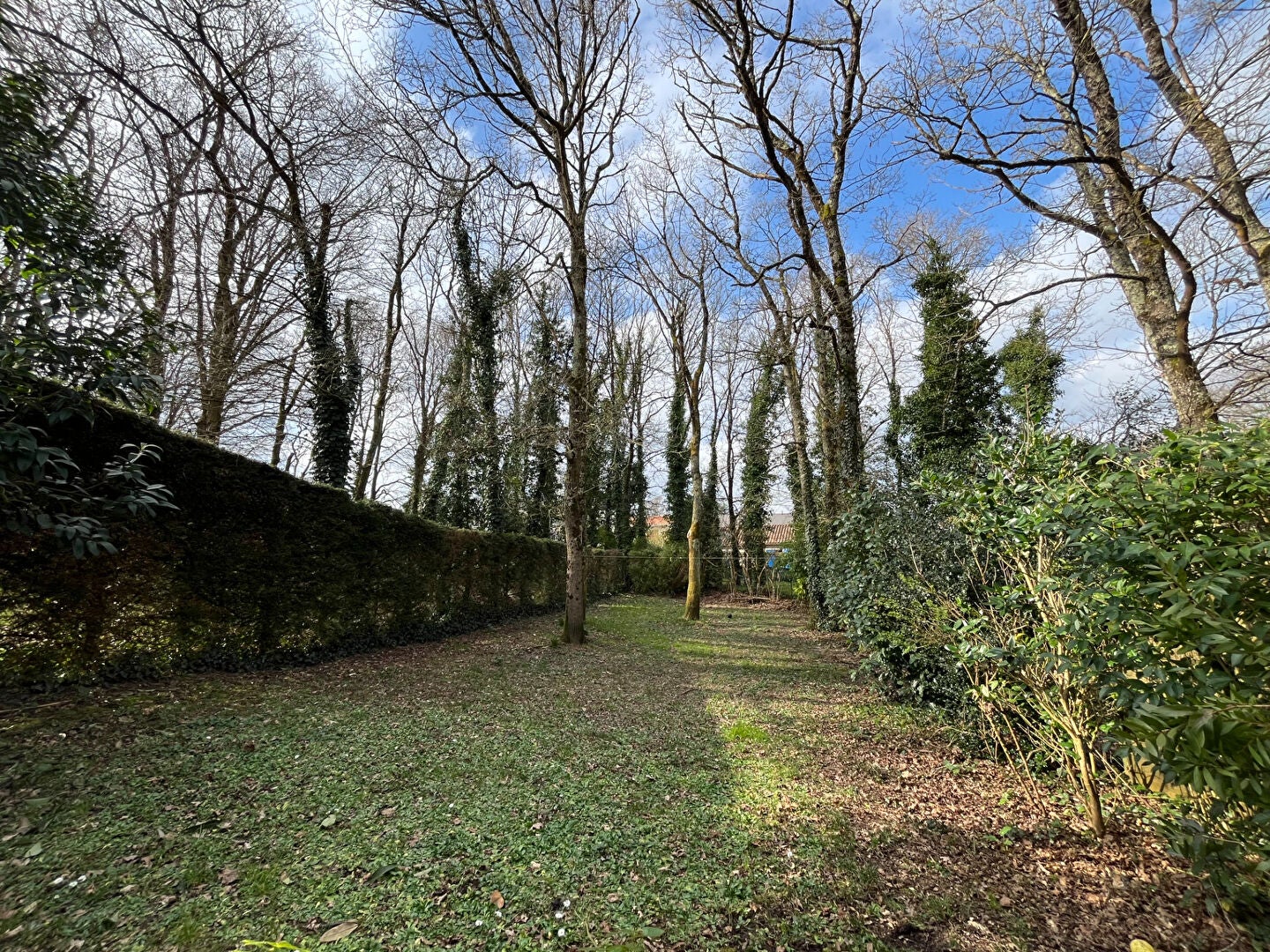 House Rue des Avocatiers in Nantes