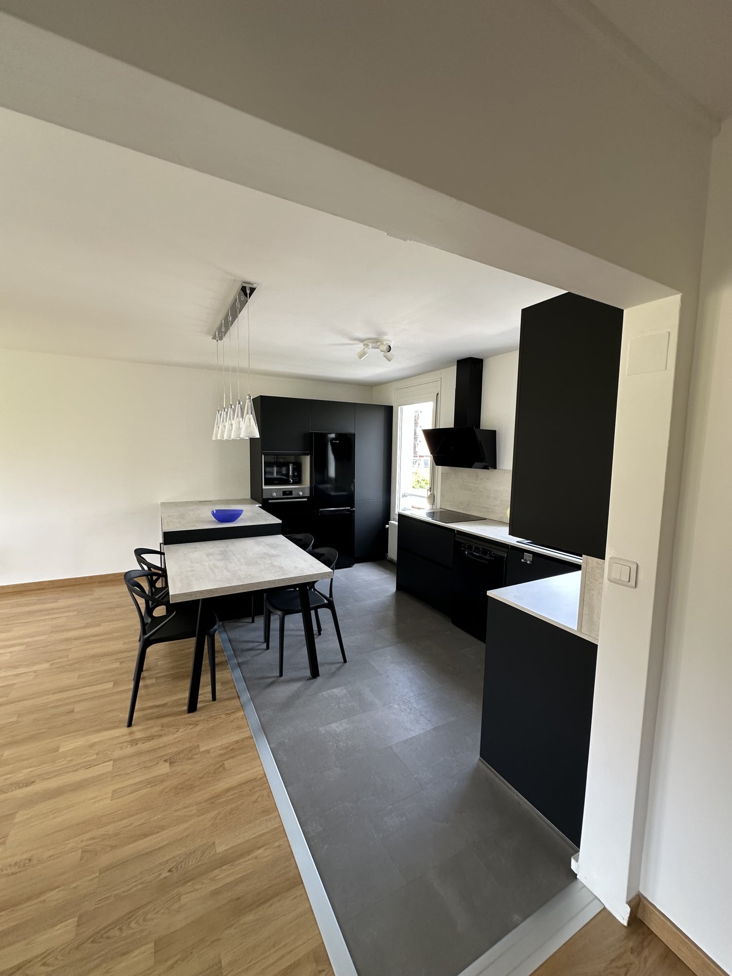 Appartement Esplanade Philippe Seguin à Nancy